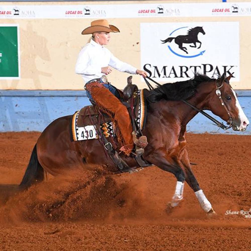 Meet your Posher, Allison